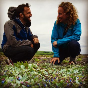 Meeting oyster plant on honeymoon