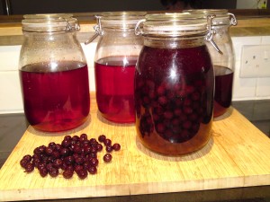 sloe and cloveroot gin