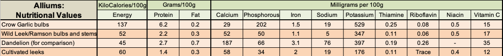 Wild Garlic Ramsons Edibility Identification Distribution Ecology 