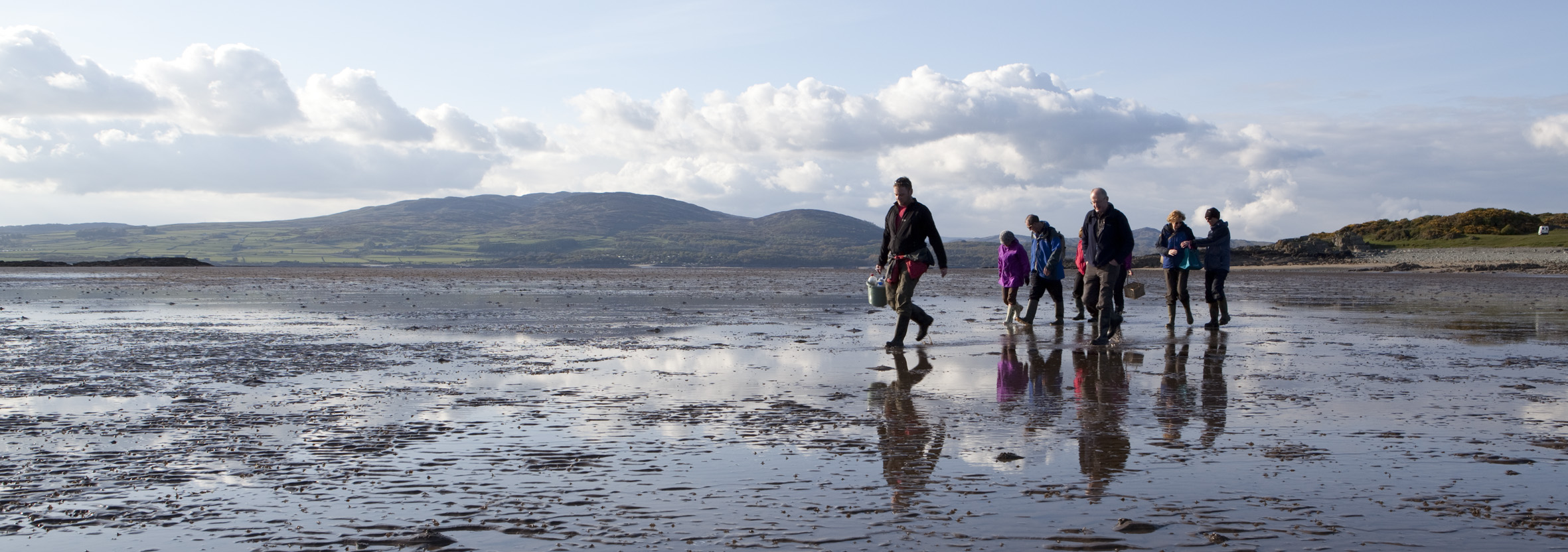 Coastal Foraging