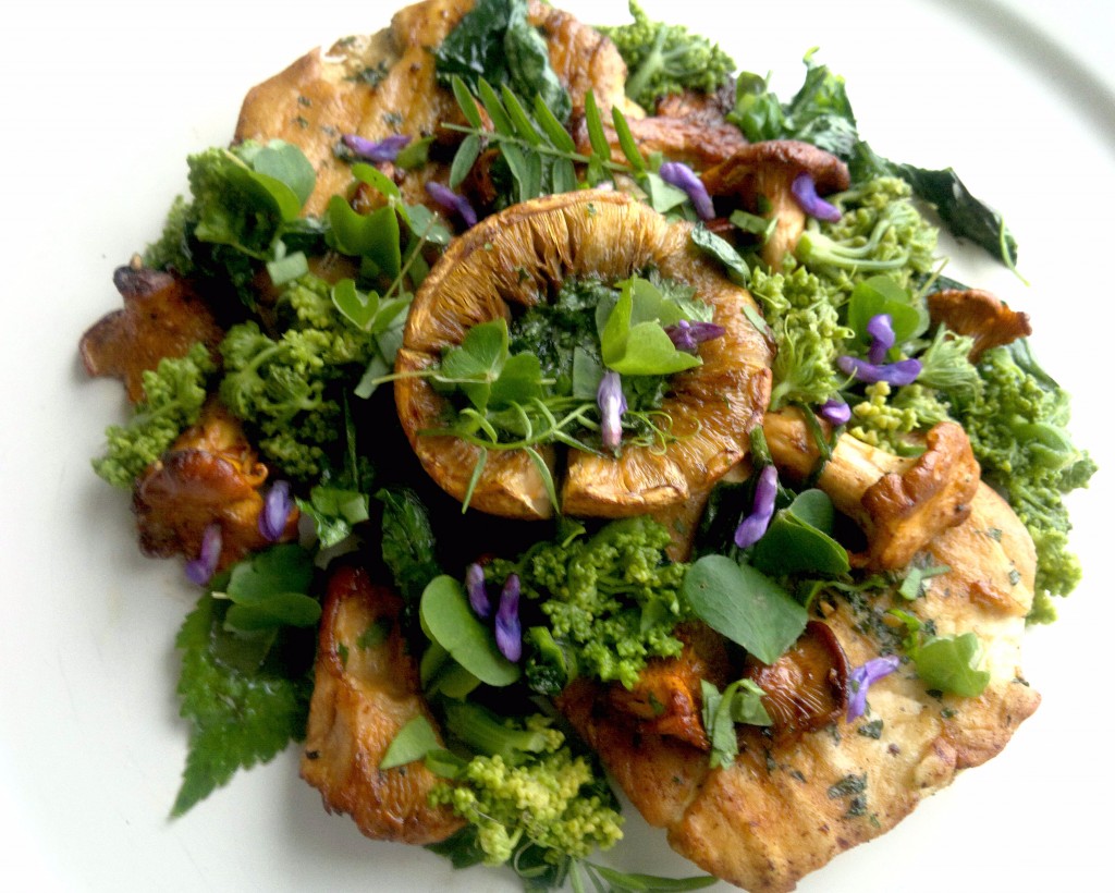 Horse mushroom stuffed with sweet cicely, summer foliage