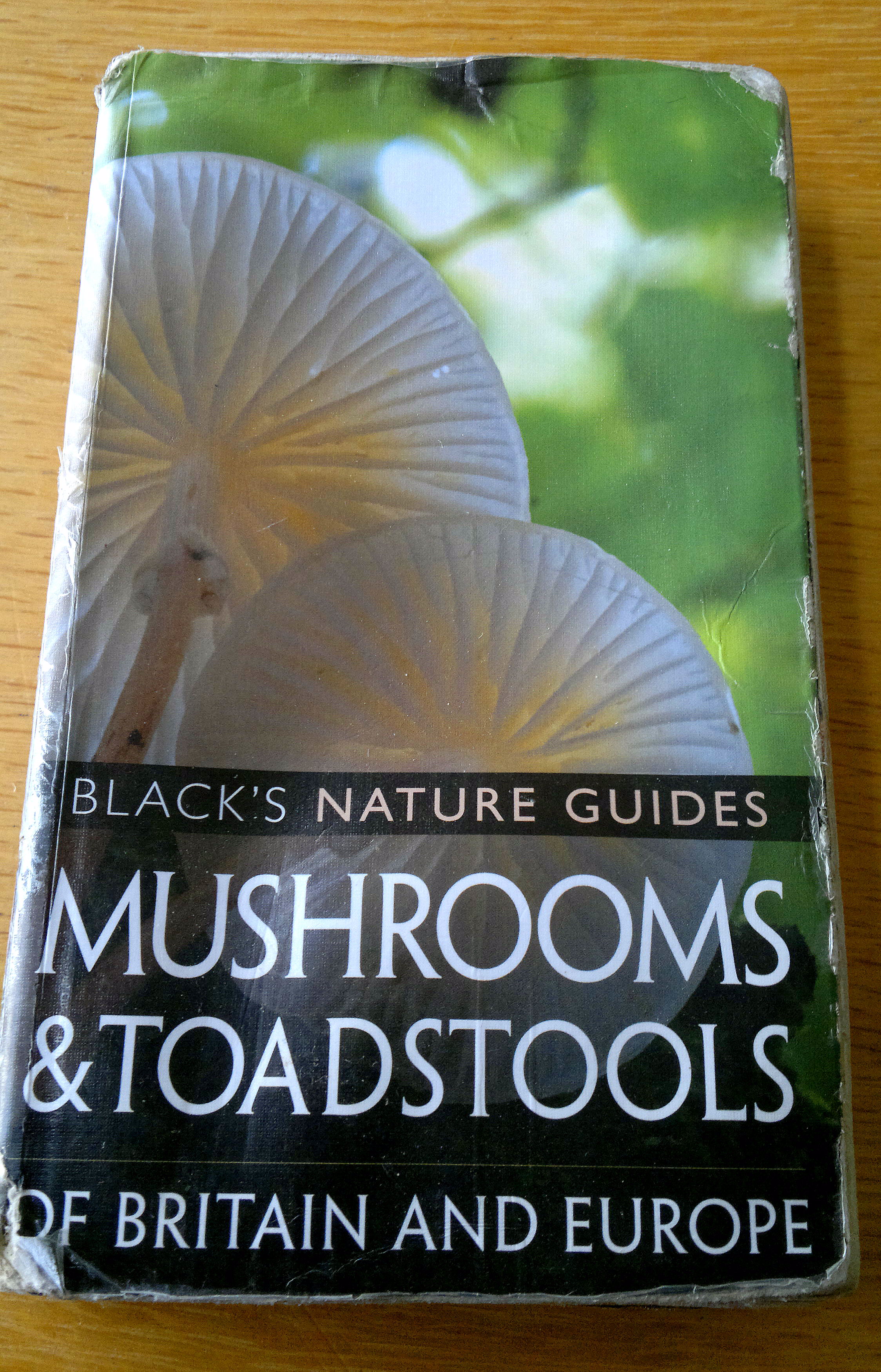 Collins Complete British Mushrooms and Toadstools The essential photograph guide to Britain’s fungi
