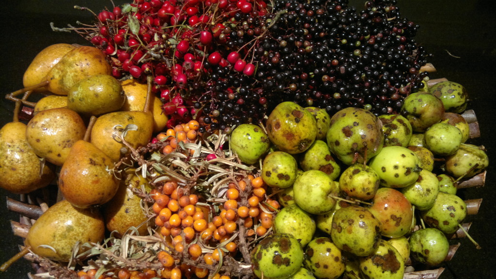 berry and fruit