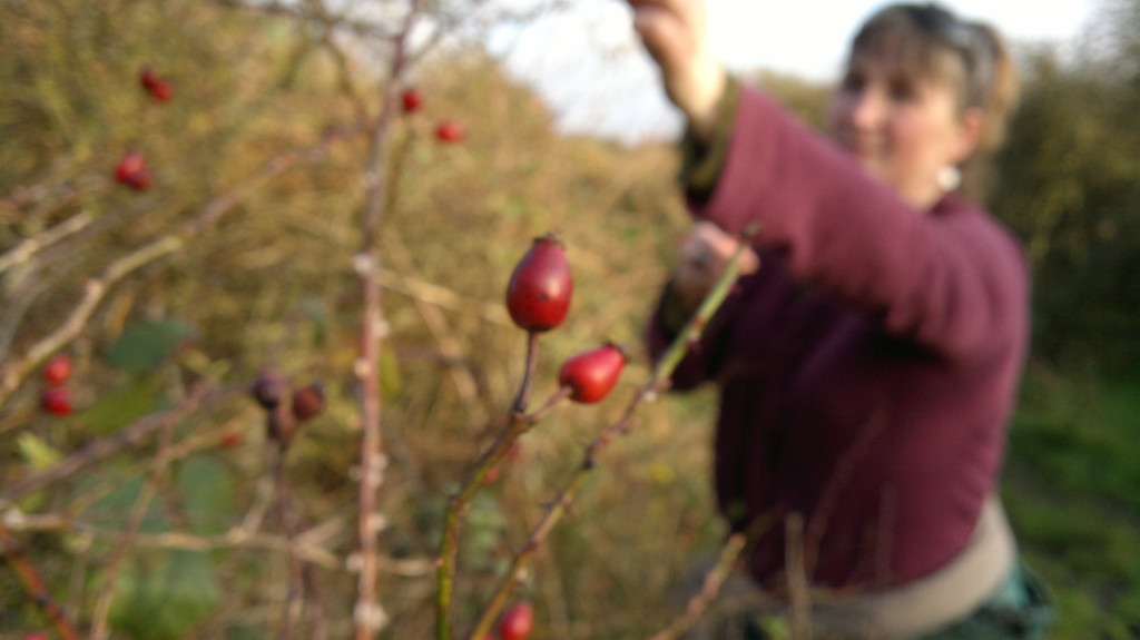 hip(py) picking