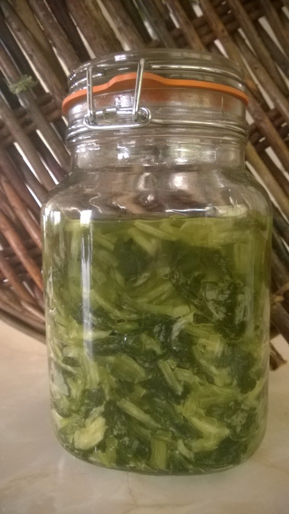 Fermented wild garlic