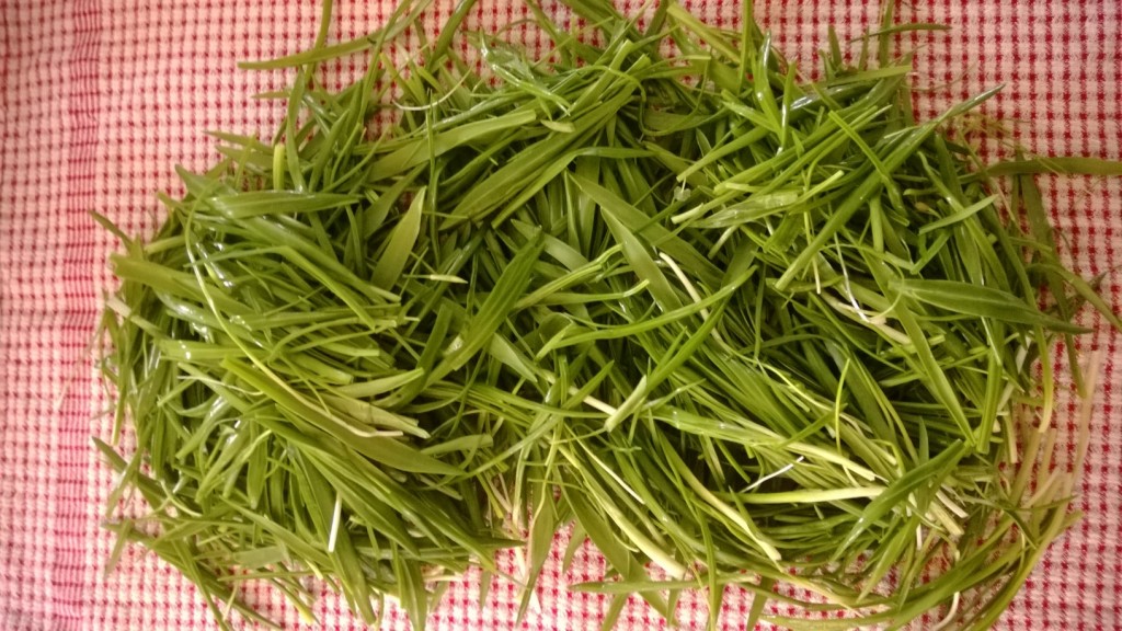 few flowered leek washed