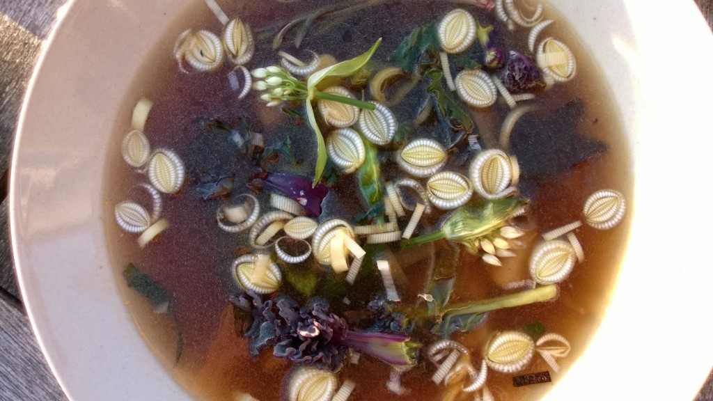 Foraged dashi with reedmace and clams