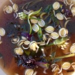 Foraged dashi with reedmace and clams