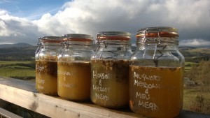 Alliterative mead selection