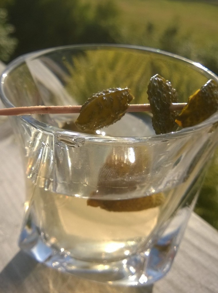 filthy dirty martini Galloway Wild Foods