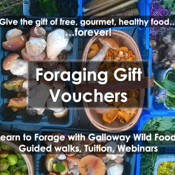 Foraging Gift Vouchers Galloway Wild Foods