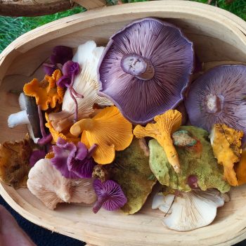 © GallowayWIldFoods.com