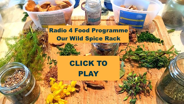 spice-radio-pic