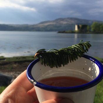 wild cocktails on Lochfyne
