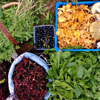 Image ©GallowayWildFoods.com