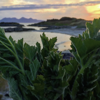 Screenshot 2021-12-21 at 04.07.34