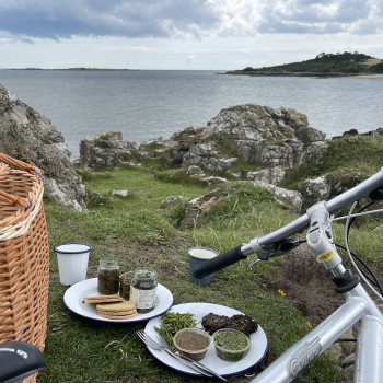 Enjoy a wild food picnic by the sea