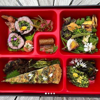 Wild bento box, served on Galloway Wild Foods events. Typically these include 30 to 40 different locally foraged ingredients that illuminate what we have explored on the guided walk. Expect savoury tart, sushi, pickles, ferments, edible flowers, seaweed snacks, salads, wild seed cake and lots more!