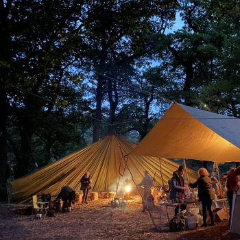 Fungi and bushcraft camp